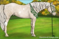 Horse Color:White Spotted Palomino Ice Pearl 