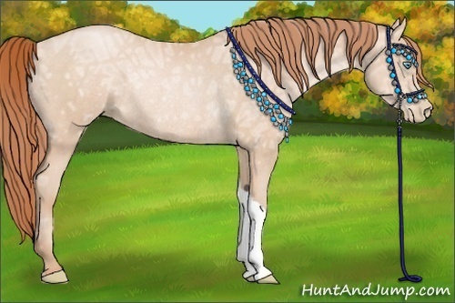 Horse Color:Buckskin Ice Pearl Rabicano