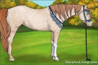 Horse Color:Buckskin Ice Pearl Rabicano 