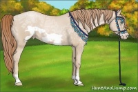 Horse Color:Smoky Black Ice Pearl Frame 