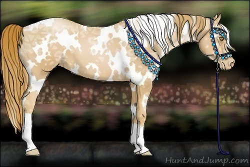 Horse Color:White Spotted Chestnut Ice Pearl 
