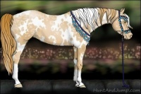 Horse Color:White Spotted Chestnut Ice Pearl