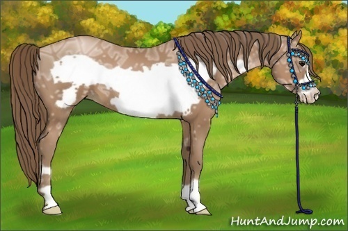 Horse Color:Black Ice Pearl Frame 