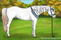 Horse Color:Buckskin Ice Splash Varnish 