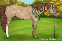 Horse Color:Red Dun Ice 