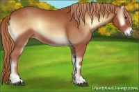 Horse Color:Red Onyx 