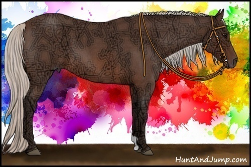 Horse Color:Silver Brown Ice Roan 