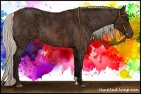 Horse Color:Silver Brown Ice Roan