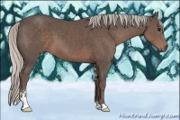 Horse Color:Silver Black Sabino 