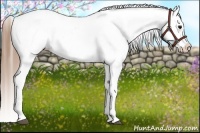 Horse Color:White Spotted Smoky Grullo Blanket