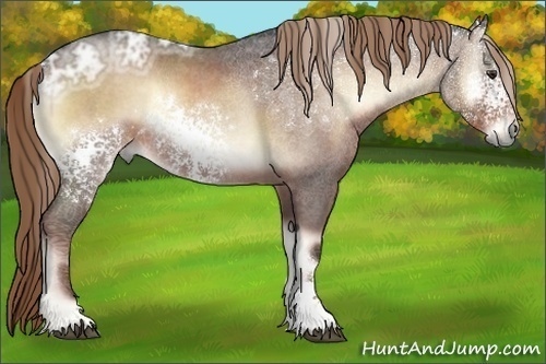 Horse Color:White Spotted Liver Red Onyx Ice Roan 