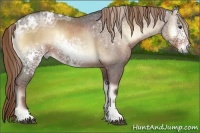 Horse Color:White Spotted Liver Red Onyx Ice Roan 