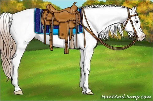 Horse Color:Black Pearl Near Fewspot
