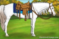 Horse Color:Black Pearl Appaloosa 