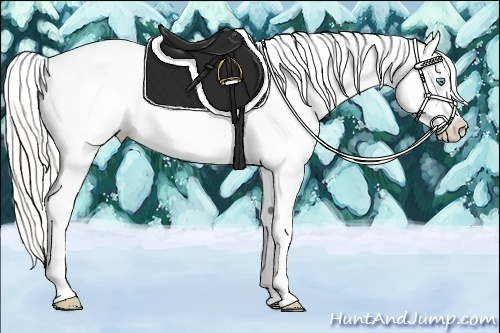 Horse Color:Cremello Roan Leopard