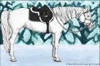 Horse Color:Cremello Roan Leopard 