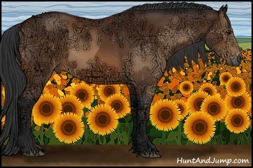 Horse Color:Bay Ice Rabicano  and Bay Ice Rabicano 