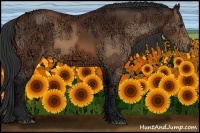 Horse Color:Bay Ice Rabicano  and Bay Ice Rabicano 