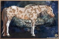 Horse Color:White Spotted Bay Dun Appaloosa 