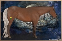 Horse Color:Silver Bay 