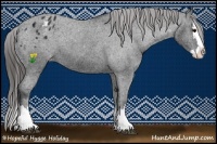 Horse Color:Black Ice Sabino Splash Appaloosa 