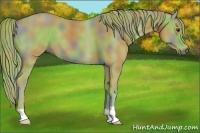Horse Color:Nacre Watercolor Chestnut 
