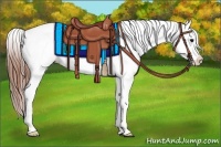 Horse Color:Grullo Appaloosa 
