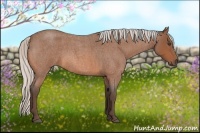 Horse Color:Silver Bay Roan 