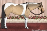 Horse Color:Buckskin Dun Tobiano