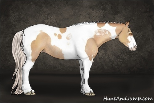 Horse Color:Silver Classic Champagne Sabino Tobiano Rabicano