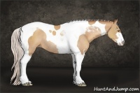 Horse Color:Silver Classic Champagne Sabino Tobiano Rabicano