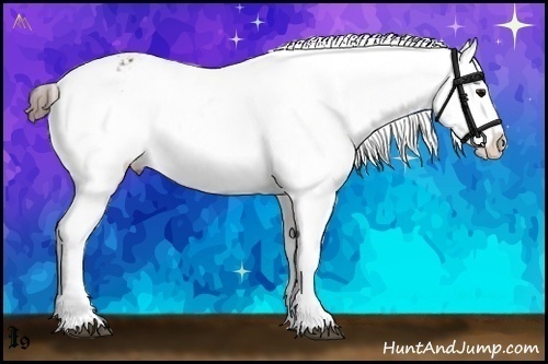 Horse Color:Brown Ice Varnish