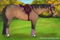 Horse Color:Buckskin Sabino