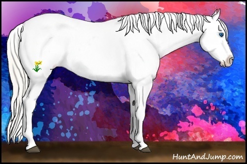 Horse Color:White Spotted Silver Blue Roan Splash Near Leopard