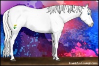Horse Color:White Spotted Silver Blue Roan Splash Appaloosa 
