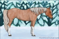 Horse Color:Silver Bay Roan