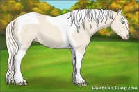 Horse Color:Cremello Tobiano 