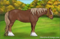 Horse Color:Chestnut Tobiano
