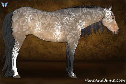 Horse Color:White Spotted Brown Ice Dun 