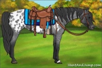 Horse Color:Blue Roan Blanket Rabicano
