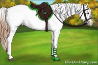 Horse Color:Smoky Black Appaloosa Rabicano 