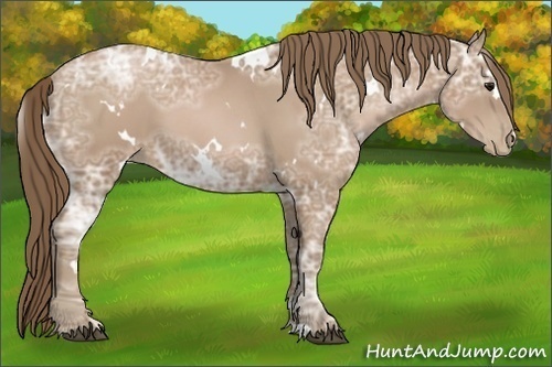 Horse Color:White Spotted Black Ice Pearl 