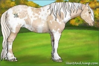 Horse Color:White Spotted Silver Bay Ice Pearl