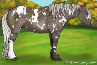 Horse Color:White Spotted Silver Black