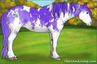 Horse Color:Watercolor White Spotted Black Sabino Splash