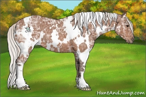 Horse Color:White Spotted Silver Bay Ice 