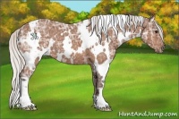 Horse Color:White Spotted Silver Bay Ice 