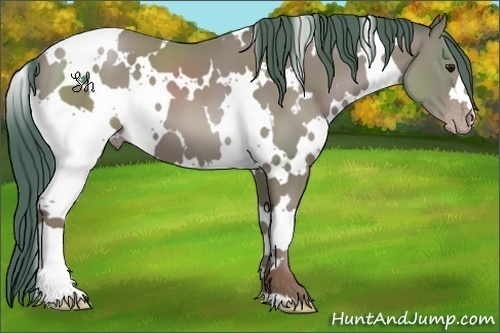 Horse Color:Watercolor White Spotted Classic Champagne 