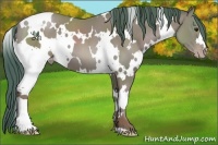 Horse Color:Watercolor White Spotted Classic Champagne 