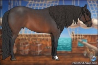Horse Color:Brown Roan
